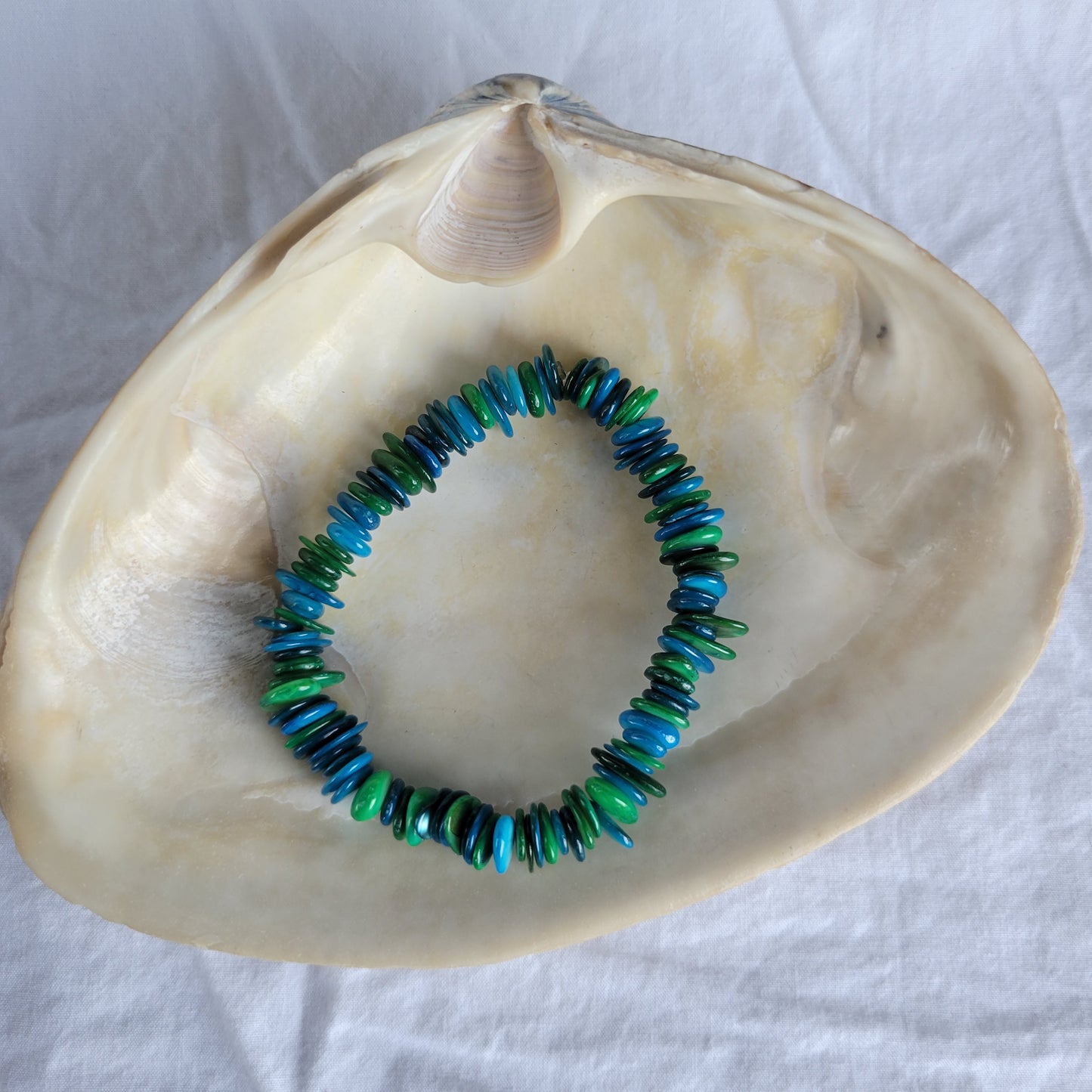 Aqua Shell Bracelet