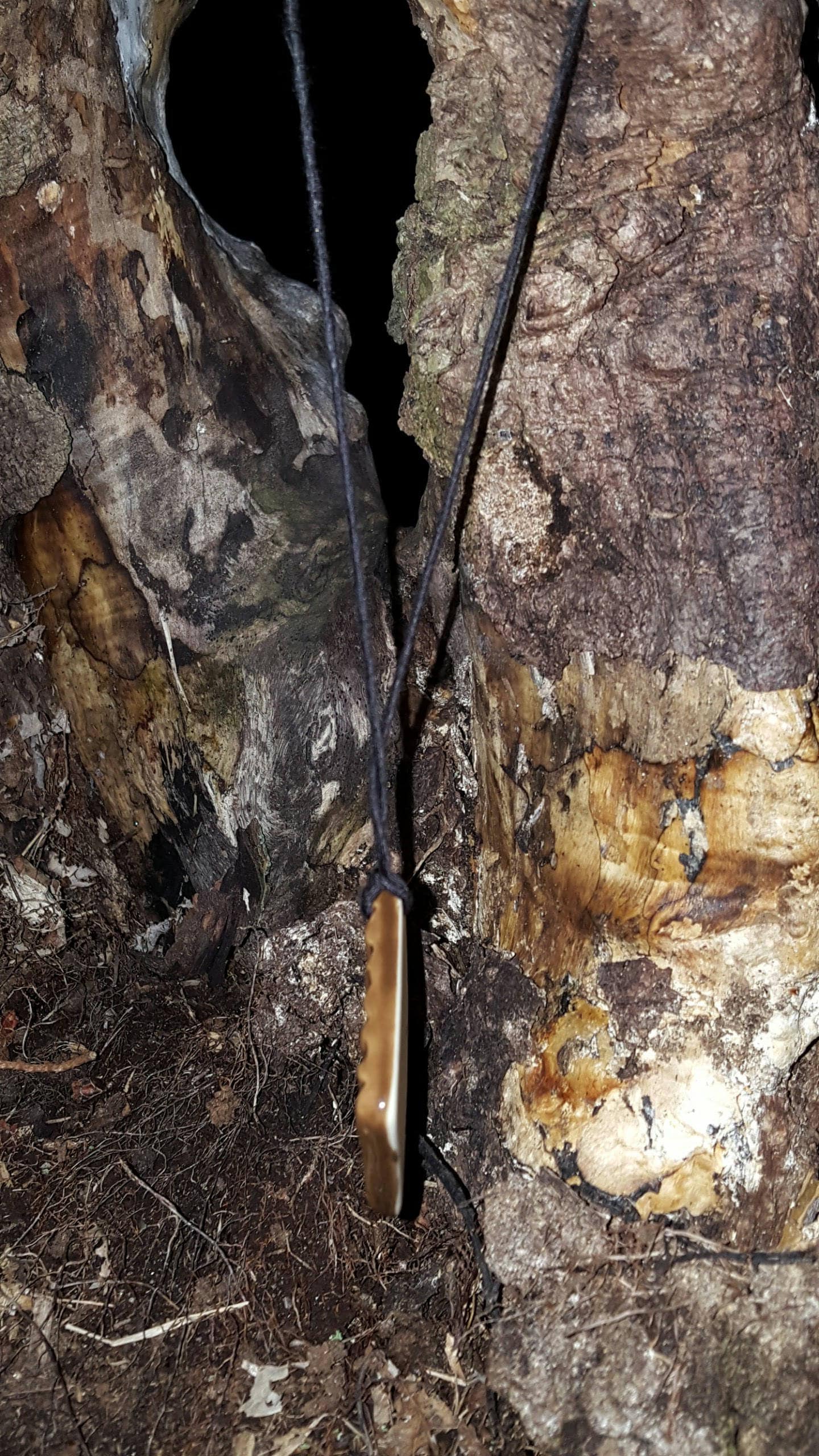 Tree Bark Necklace