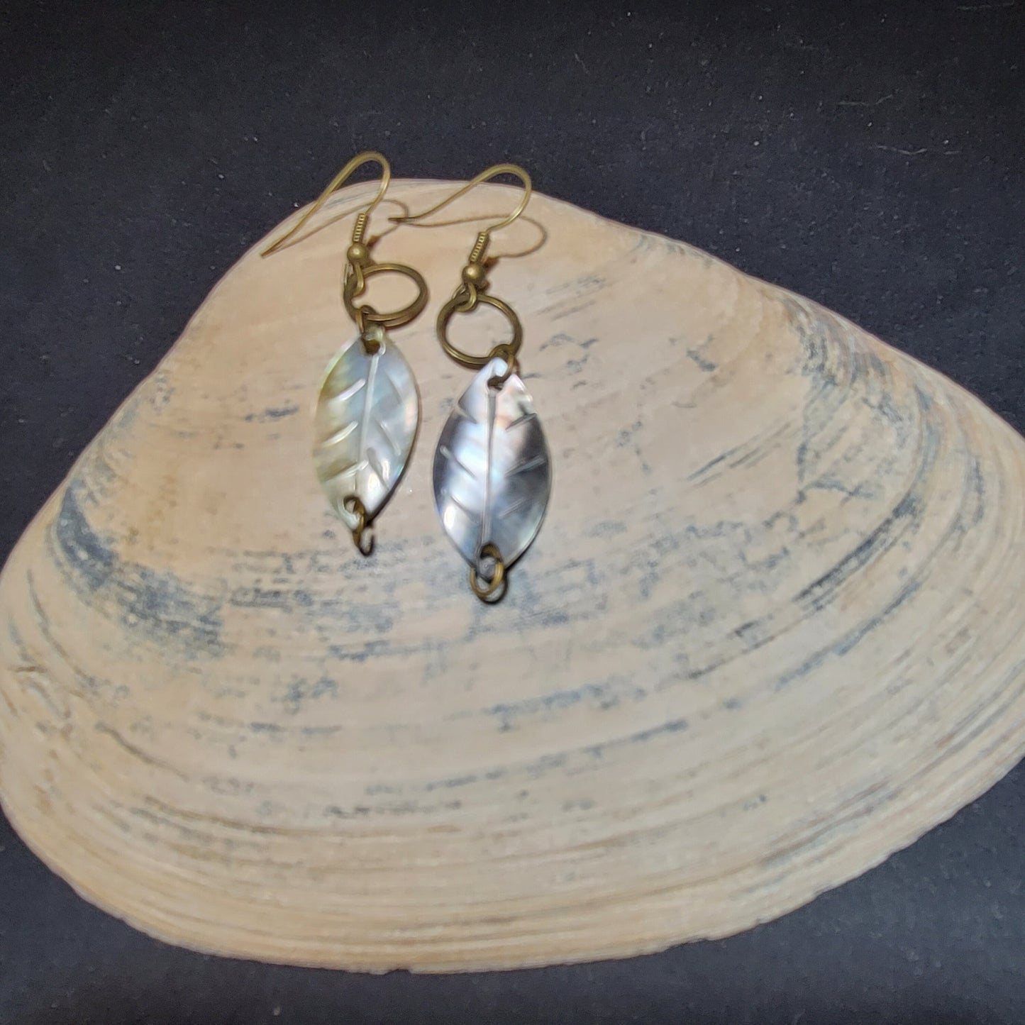 Iridescent leaf earrings