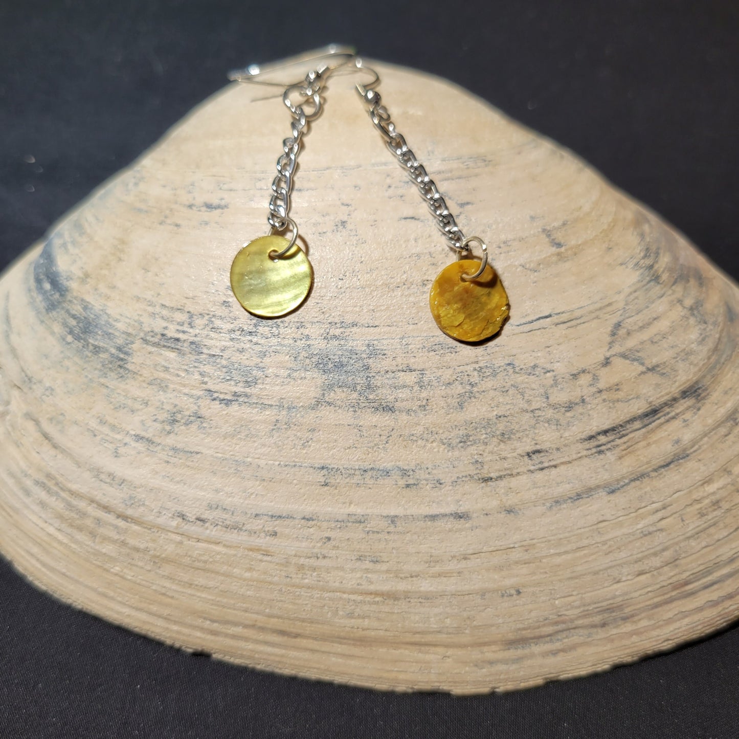 Falling shell disc earrings