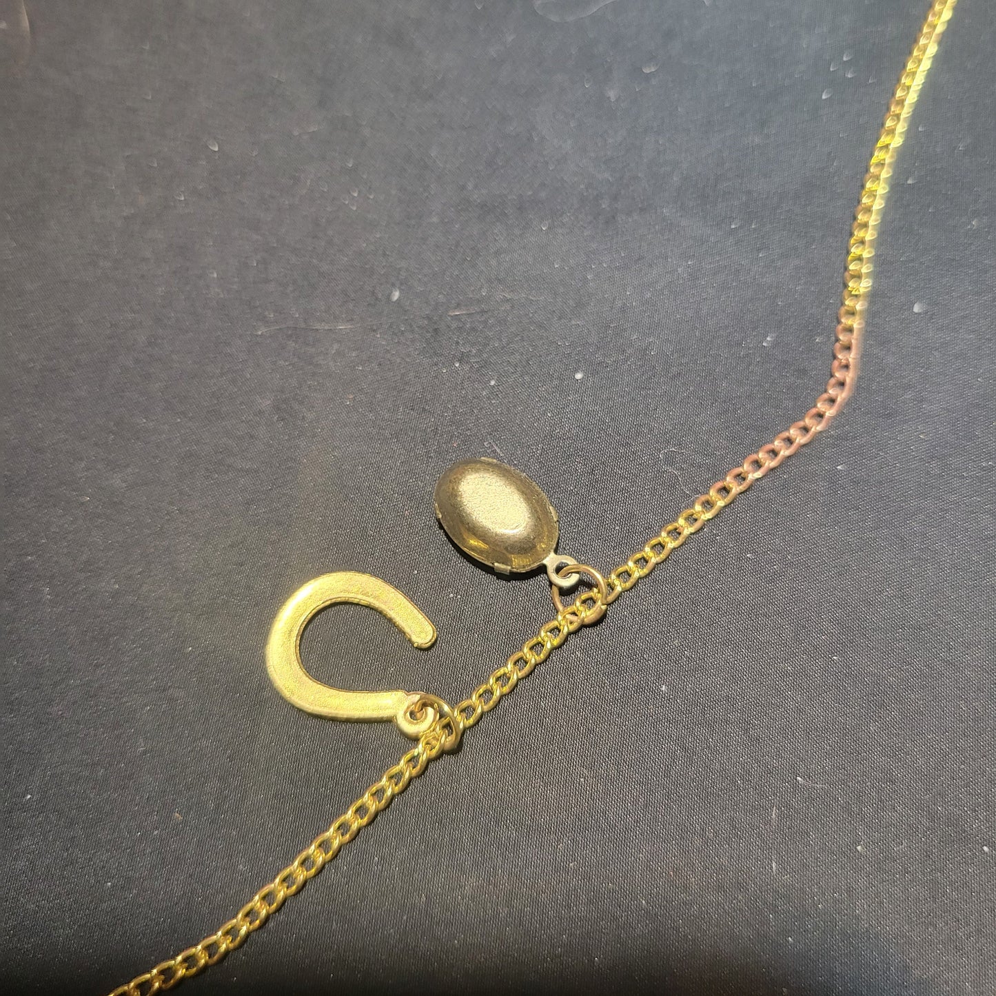 Horseshoe Charm Bracelet